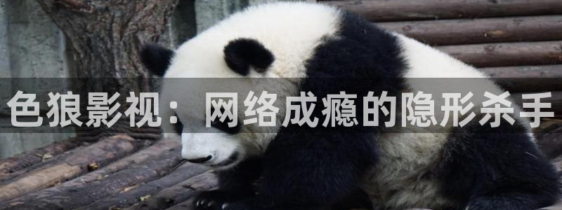 九九在线观看精品