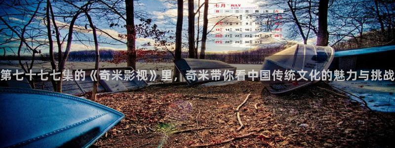 九九的视频全集