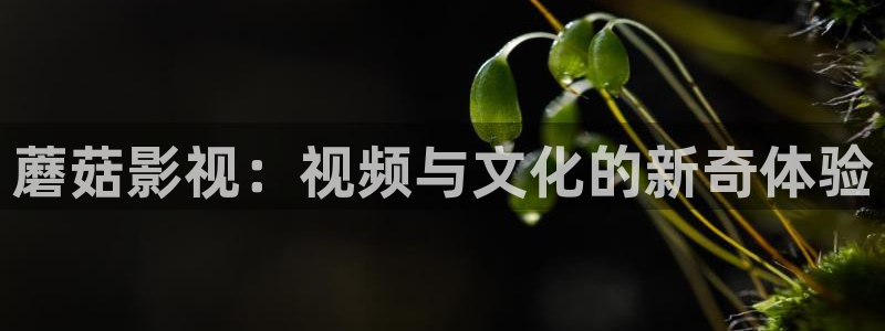 九九影院电视剧免费观看全集