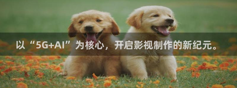性插九九视频